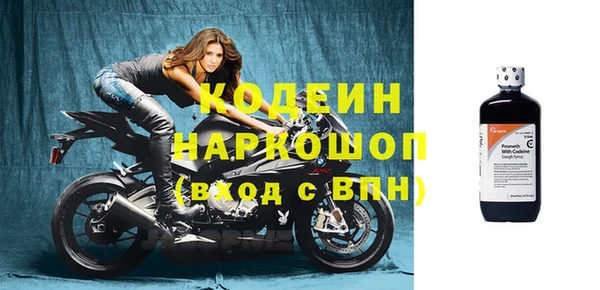 ПСИЛОЦИБИНОВЫЕ ГРИБЫ Арсеньев