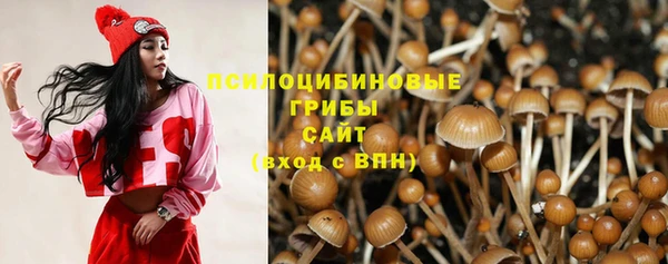 ПСИЛОЦИБИНОВЫЕ ГРИБЫ Арсеньев