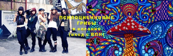 кокаин премиум Аркадак