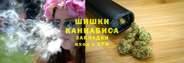 ПСИЛОЦИБИНОВЫЕ ГРИБЫ Арсеньев