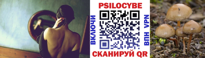 Галлюциногенные грибы Psilocybe  наркотики  Плавск 